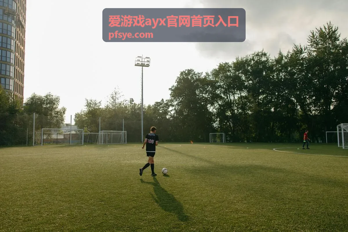爱游戏ayx移动端入口与设备绑定示意