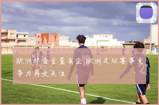 欧洲杯含金量高企 欧洲足坛赛事竞争力再受关注